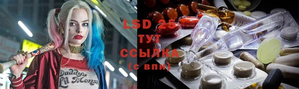 крисы Верхний Тагил
