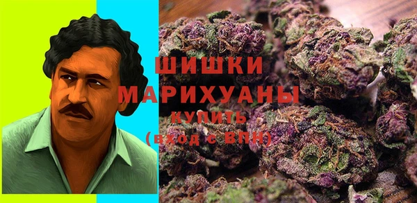 apvp Верея