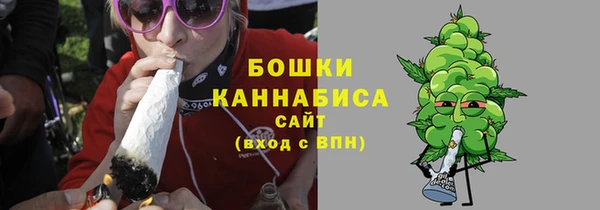 крисы Верхний Тагил