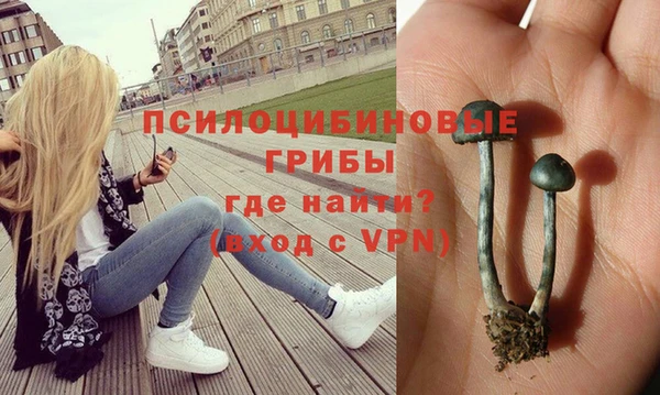 apvp Верея