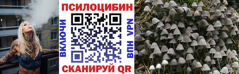 это наркотические препараты  хочу наркоту  Вичуга  Галлюциногенные грибы MAGIC MUSHROOMS 