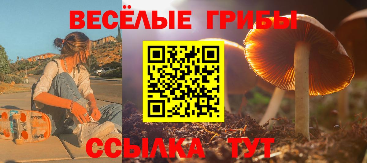 Псилоцибиновые грибы Magic Shrooms  Вход с VPN  Вичуга 