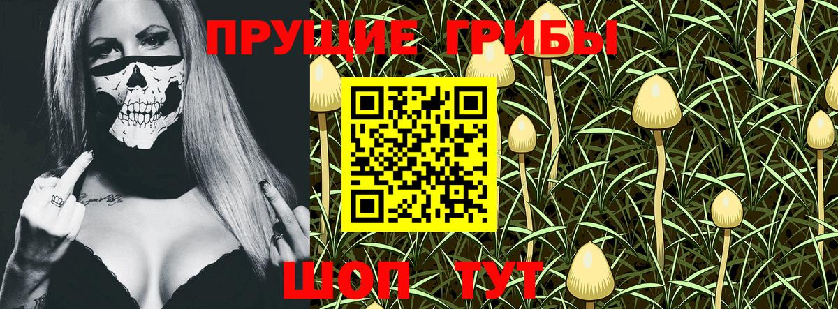 закладка  Псилоцибиновые грибы MAGIC MUSHROOMS  Вход с VPN  Псилоцибиновые грибы мухоморы  Вичуга 