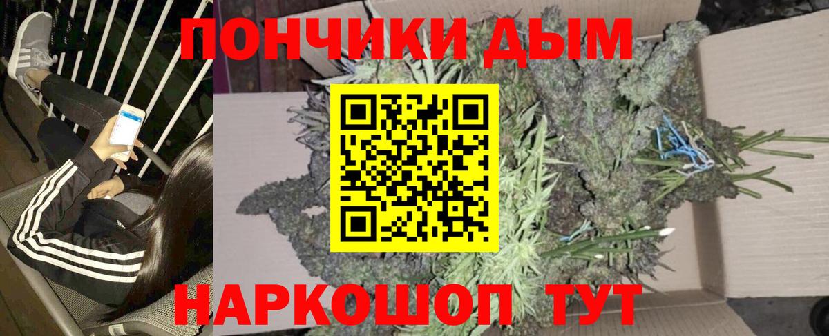 Бошки Шишки планчик  Конопля SATIVA & INDICA  Вичуга  Вход с VPN 